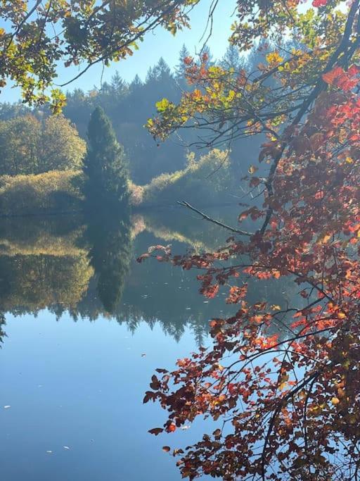 Charismatisch Und Gemuetlich In Guettingen, Nah Zum Buchensee Und Bodensee, Tolle Lage 博登斯边的拉多夫采尔 外观 照片